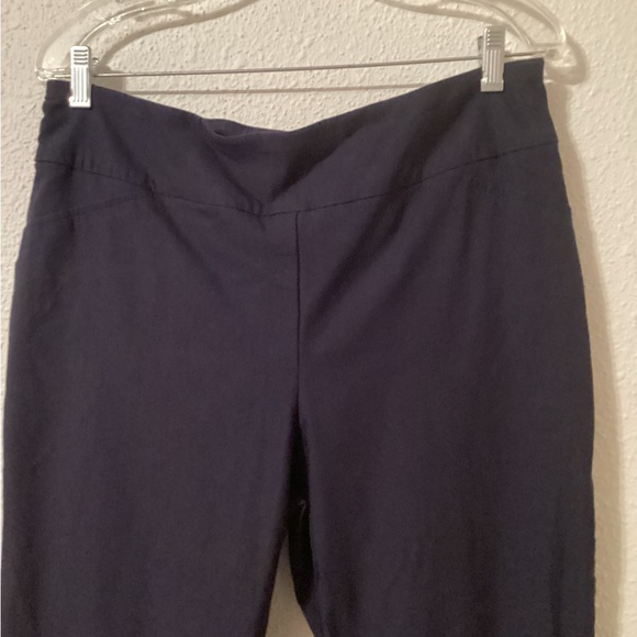 Cambridge Club Slim Pants- Sz: 16W - Picture 2 of 7